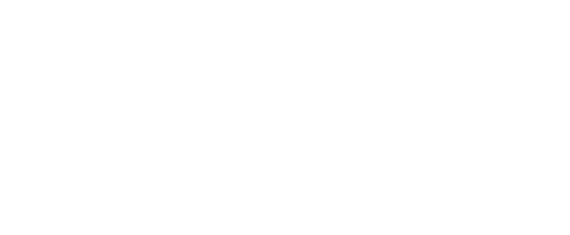 elitium logo